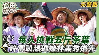 【南投-大安】王彩樺化身「爽遊大地主」自在享樂 其他人累到快掛了！每人挑戰五斤茶葉 許富凱偷懶出奇招！卻被林美秀搶先技高一籌！｜瓜田冠軍的誕生 ｜ 20250122【第3集完整版】