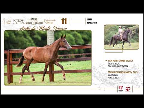 LOTE 11 Areta da Monte Branco