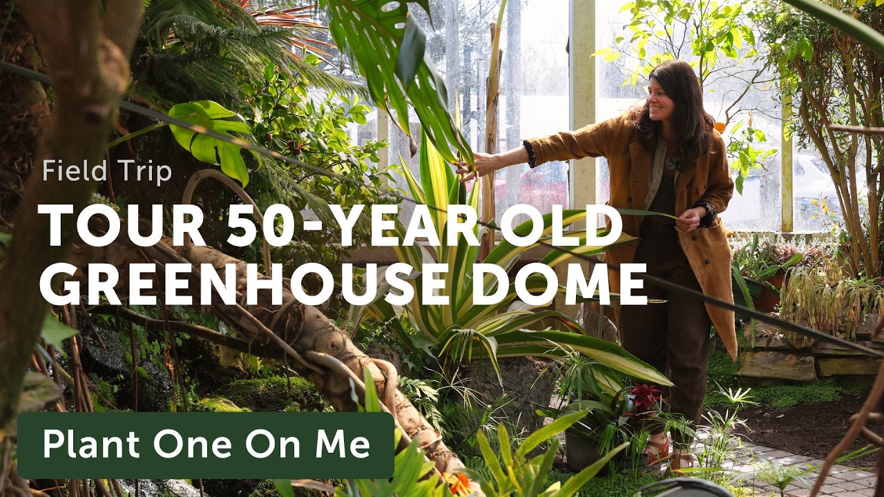 Tioga Garden's 50-Year Old GREENHOUSE DOME — Ep. 438