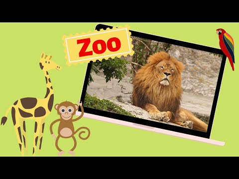 Educational Video - Zoo Animals - At the Zoo - English for Kids - Kids Vocabulary