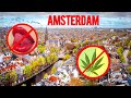 IS AMSTERDAM REALLY DEAD?! The Truth About Amsterdam in 2024!