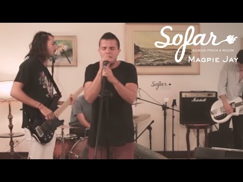 Magpie Jay - Poltergeist | Sofar Costa Rica