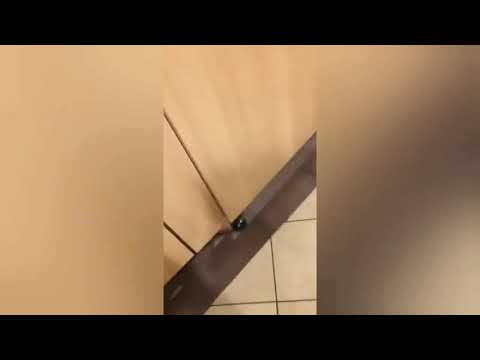 Русские приколы с пьяными девушками ноябрь 2018,топ подборка пьяных баб 2018 ЭТО РОССИЯ,ДЕТКА!