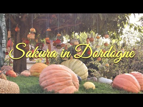 小さなフランス庭園のフォーマルなデザインの自然環境