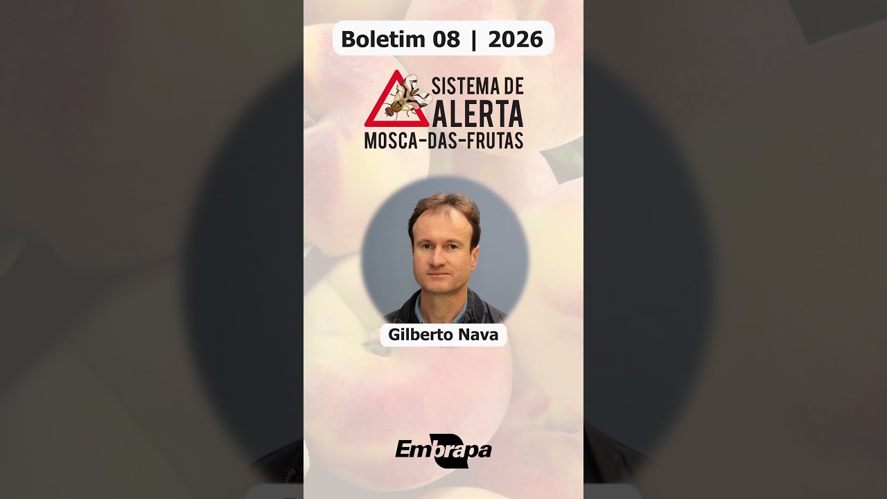 SISTEMA DE ALERTA DA MOSCA DAS FRUTAS | BOLETIM 8 | 2026 | Terra Sul