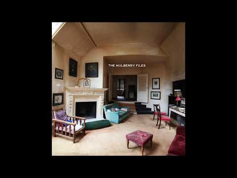 Funki Porcini - The Mulberry Files [2018 Full Album]