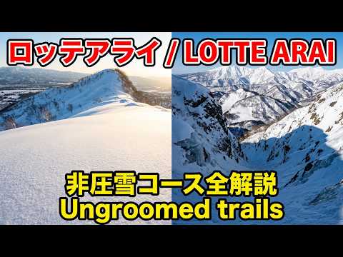 Video: ロッテアライスキーリゾート2025年2月2日　大斜面、膳棚、船石、ワセ、KG、エキサイター、レジェンダリー　上級コース全部行きました