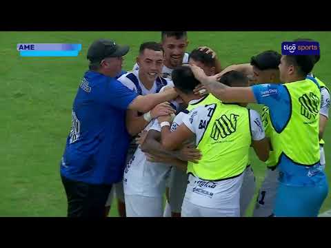 bg-highlight