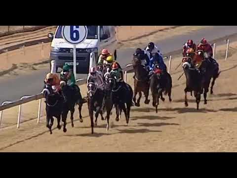 Southern Charm, Turffontein 23 July
