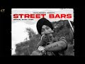 STREET BARS - DIGPAL (OFFICIAL VIDEO) | TheBhamrah | Roublezcreation | Latest punjabi song 2023