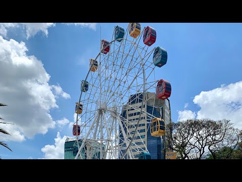 El mood - Carlitos GP (Brasilian funk) Visualizer