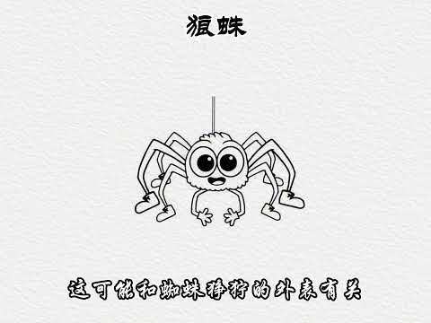 《昆虫记》下- [法国]让-亨利&middot;法布尔 #新知创作 #读书 #好书推荐