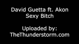 David Guetta feat Akon - Sexy Bitch