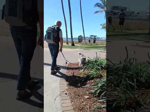 “Beach Days & Ocean Ways: Townsville’s Strand Experience”