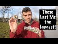 Best Value Skateboard Wheel