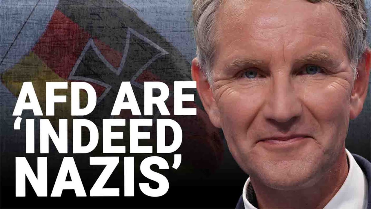 AfD Win: 'I think it's fair to say that they are indeed Nazis'