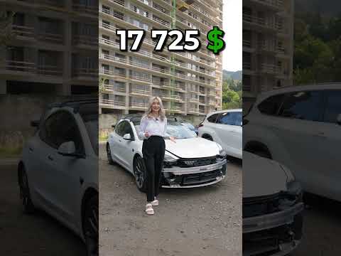 TESLA MODEL 3 2022