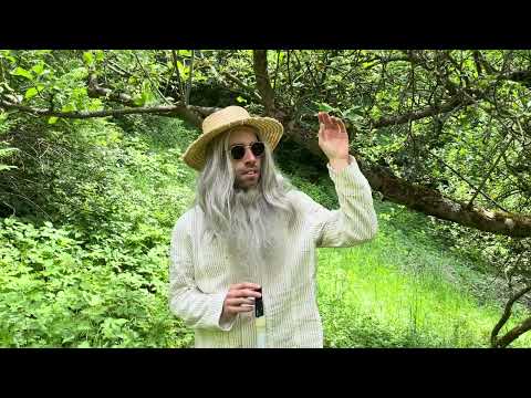 Vydejte se mnou knihu AKVAREL VY – HRA – ZEN!