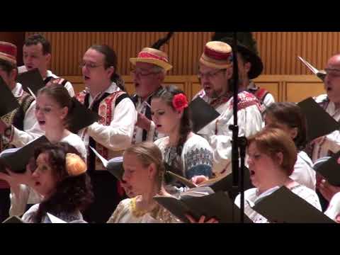 12. Gheorghe Cucu - Haz de necaz