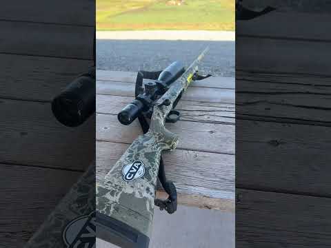 Hornady Precision Hunter