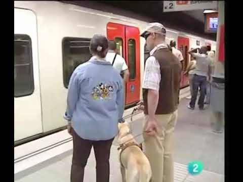Perro guía en subterráneo