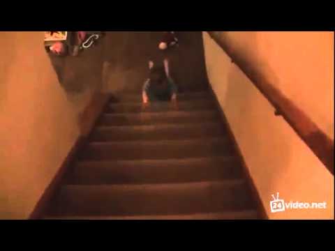 malysh skatilsya s lestnitsy  ubegaya ot ottsa