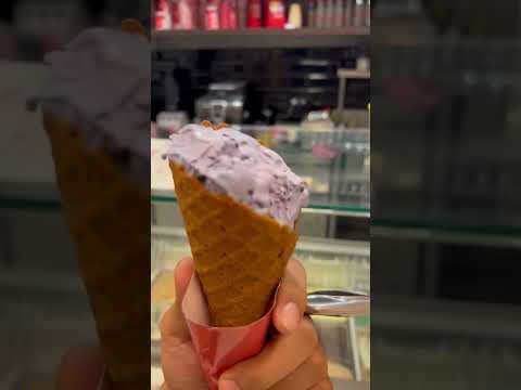 My fav black current ice cream at giani 😍 #amritsar #icecream #foodie #food