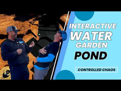 PondscapesAZ on YouTube