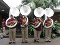 McDonogh 35 "Bass Lords" Tuba Solo-Spring 2013