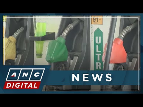 Fuel subsidy for PUV drivers to face P500-M budget cut in 2024 ANC