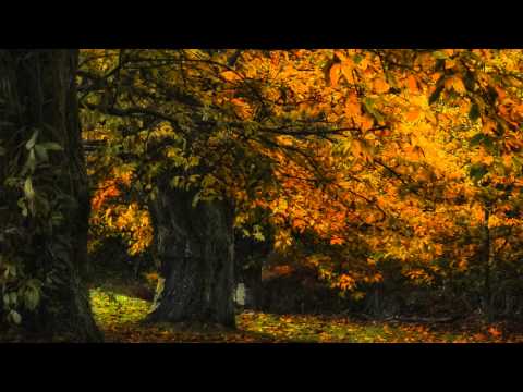 Daniil Shafran - Shostakovich - Cello Sonata in D minor, Op 40