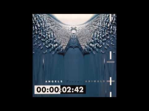 download lagu mp3 mp4 Front 242 Angels Versus Animals, download lagu Front 242 Angels Versus Animals gratis, unduh video klip Front 242 Angels Versus Animals