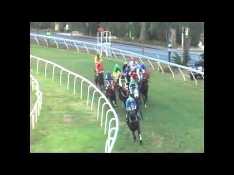 Race #9 January 16, 2016