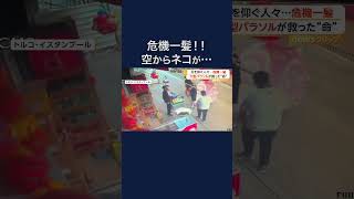 危機一髪…!! 7階で飼われていたネコが落下 大型パラソルが命救う #shorts