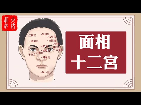 面相十二宮