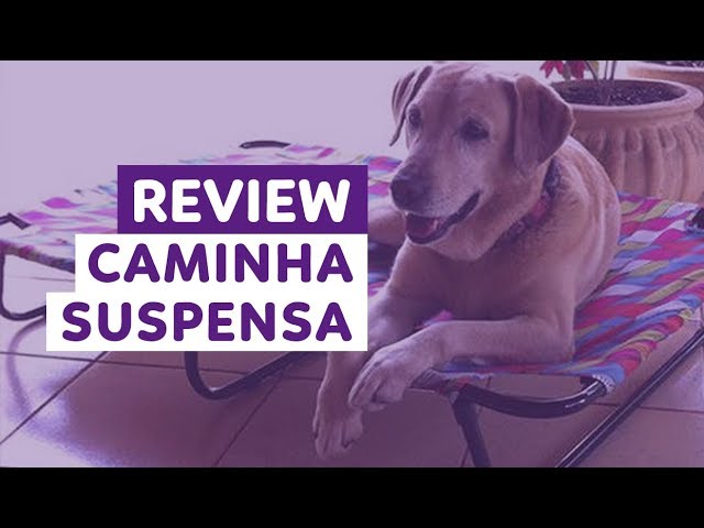 video apresentando a marca Lassie