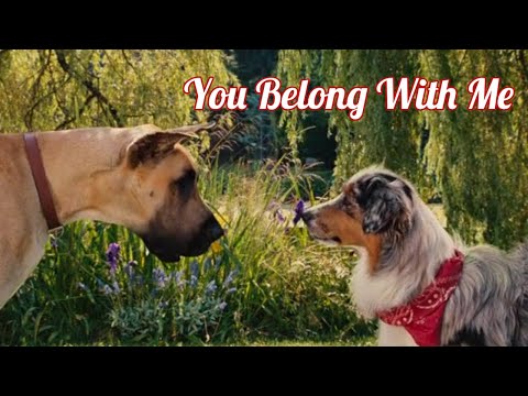 Marmaduke x Mazie | You Belong With Me