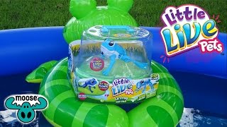 LITTLE LIVE PETS LIL&#39; FROG LILY PAD