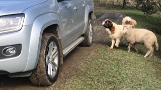 Miniatura do vídeo