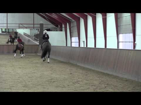 Helgstrand Dressage - April 21 '12 (Socrates)