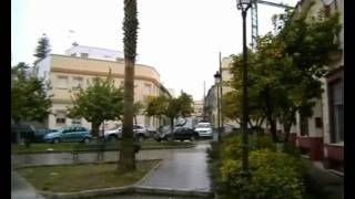 Nevó en Castilleja de la Cuesta