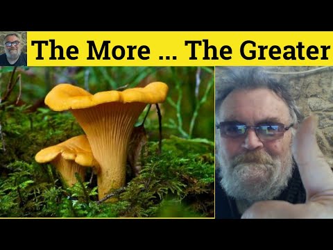 🔵 The More The Greater - The Comparative The Comparative - The Bigger The Better - Grammar Structure