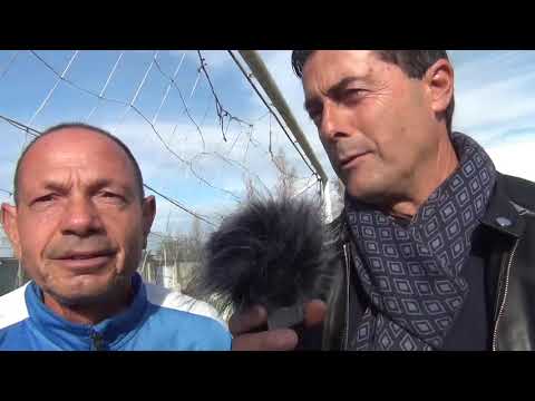 Il dolore di Tuturo tifoso USD Paolana 1922