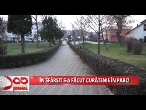 IN SFARSIT S A FACUT CURATENIE IN PARC