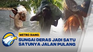 Download lagu Satu-satunya Akses, Petani Nekat Terobos Sungai Deras Demi Pulang mp3