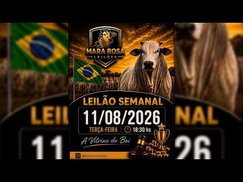 MARA ROSA LEILÕES - GOIÁS - LEILÃO DE GADO DE CORTE 11/08/2026