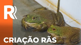 Miniatura do vídeo