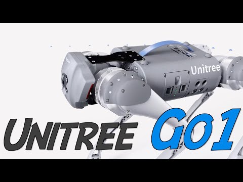 Unitree Go 1: The Robot Dog?