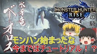 【MHR】ぼっちハンターがいくモンハンライズ！【ゆっくり実況】part17