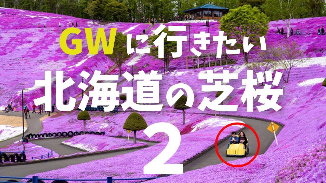 【絶景】北海道の芝桜！東藻琴芝桜公園と滝上公園の芝桜を紹介します！【ゴールデンウィーク】